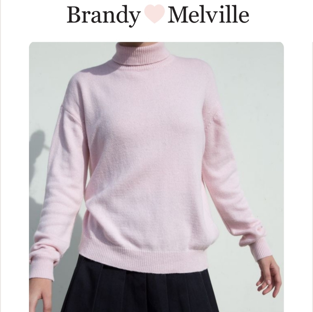 Brandy Melville Pink Luna Turtleneck Sweater